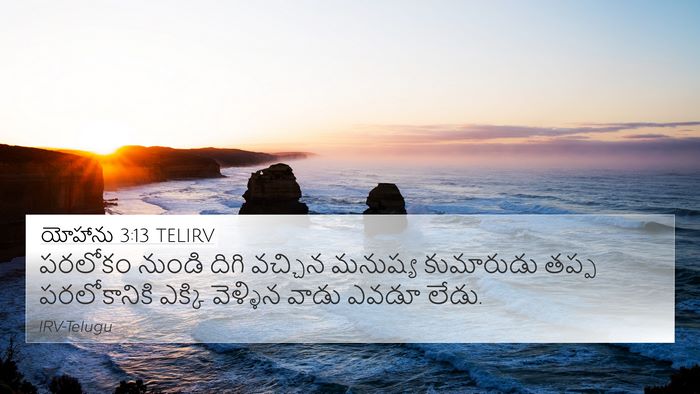 యోహాను 3:13 TELIRV Bible Verse Image