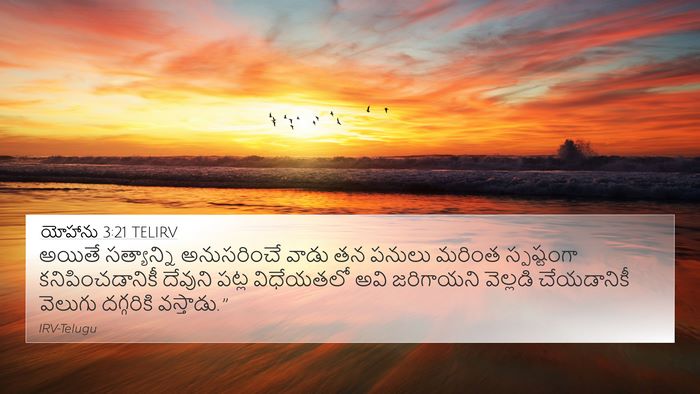 యోహాను 3:21 TELIRV Bible Verse Image