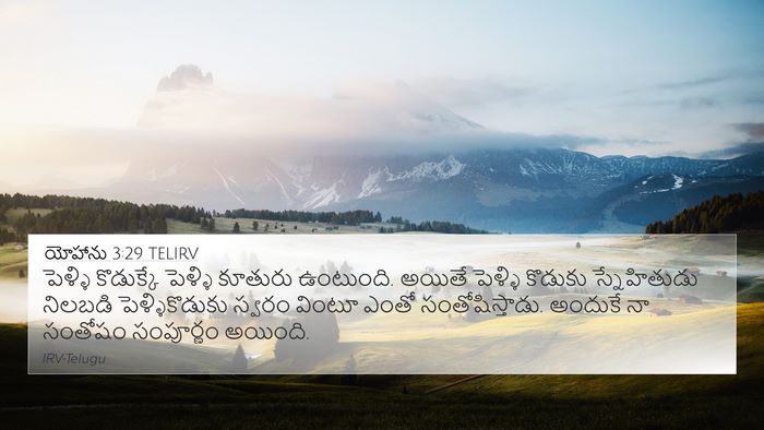 యోహాను 3:29 TELIRV Bible Verse Image