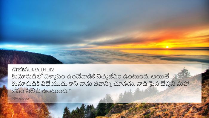 యోహాను 3:36 TELIRV Bible Verse Image