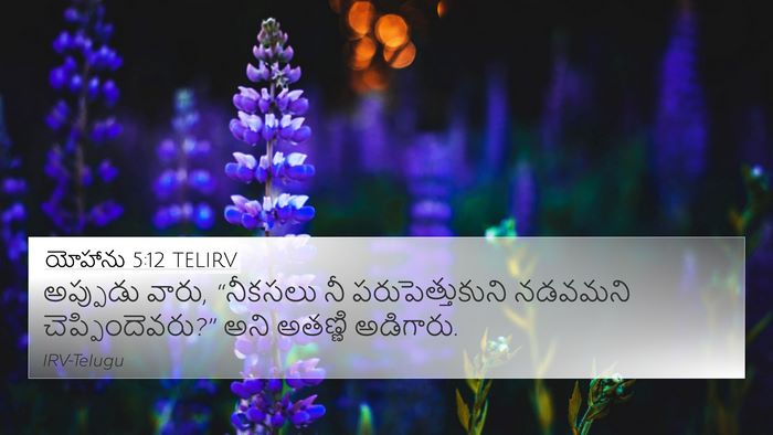 యోహాను 5:12 TELIRV Bible Verse Image
