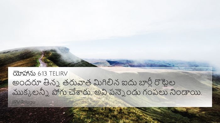 యోహాను 6:13 TELIRV Bible Verse Image