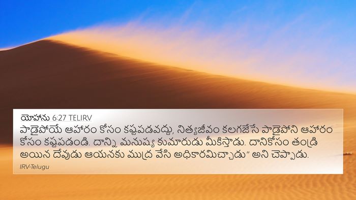 యోహాను 6:27 TELIRV Bible Verse Image