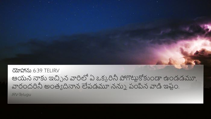 యోహాను 6:39 TELIRV Bible Verse Image