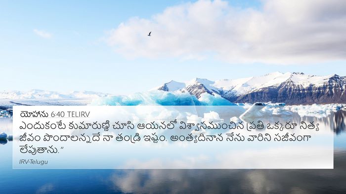 యోహాను 6:40 TELIRV Bible Verse Image
