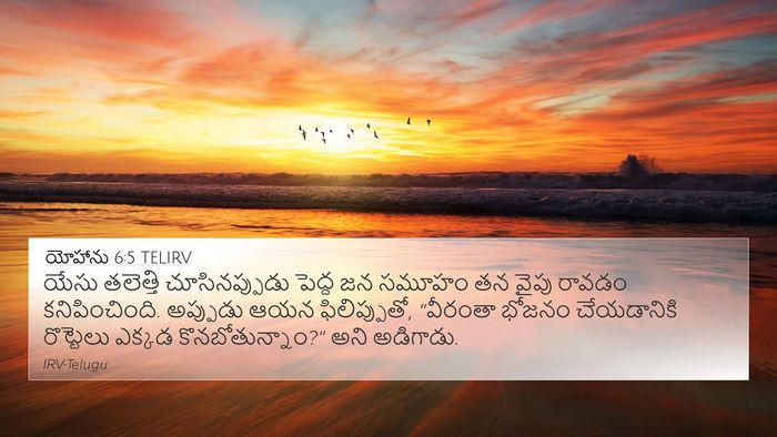 యోహాను 6:5 TELIRV Bible Verse Image