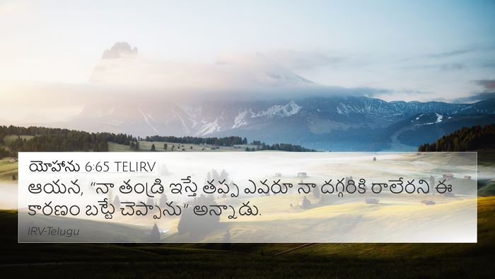 యోహాను 6:65 TELIRV Bible Verse Image