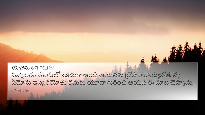 యోహాను 6:71 TELIRV Bible Verse Image