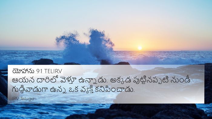 యోహాను 9:1 TELIRV Bible Verse Image