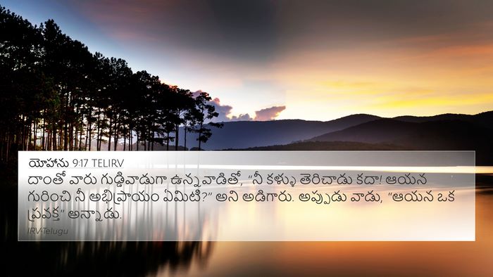 యోహాను 9:17 TELIRV Bible Verse Image