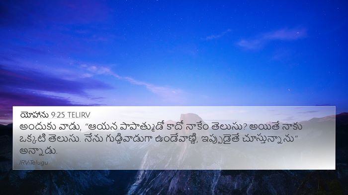 యోహాను 9:25 TELIRV Bible Verse Image