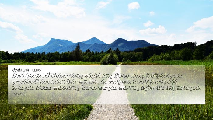రూతు 2:14 TELIRV Bible Verse Image