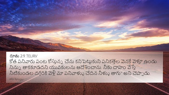 రూతు 2:9 TELIRV Bible Verse Image