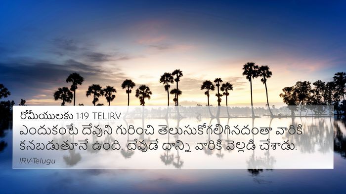 రోమీయులకు 1:19 TELIRV Bible Verse Image
