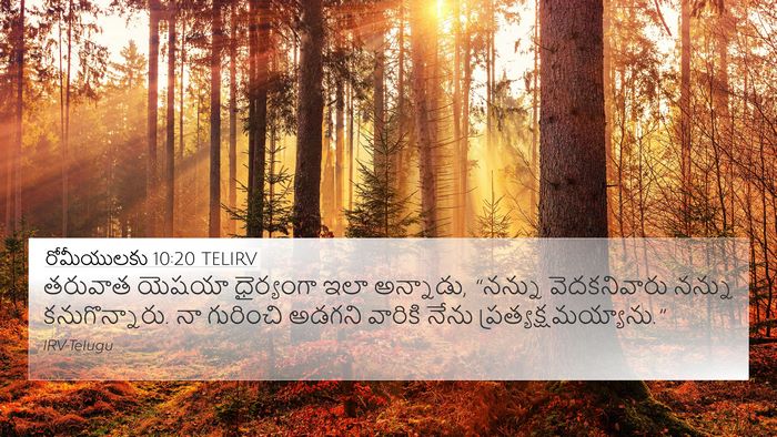 రోమీయులకు 10:20 TELIRV Bible Verse Image