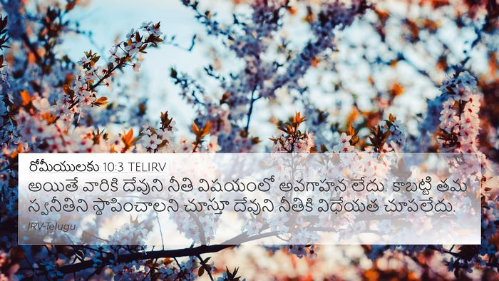 రోమీయులకు 10:3 TELIRV Bible Verse Image
