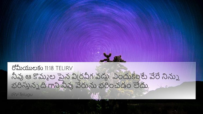 రోమీయులకు 11:18 TELIRV Bible Verse Image
