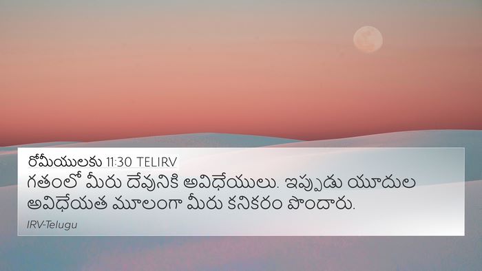 రోమీయులకు 11:30 TELIRV Bible Verse Image