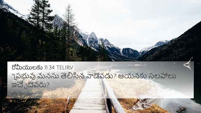 రోమీయులకు 11:34 TELIRV Bible Verse Image