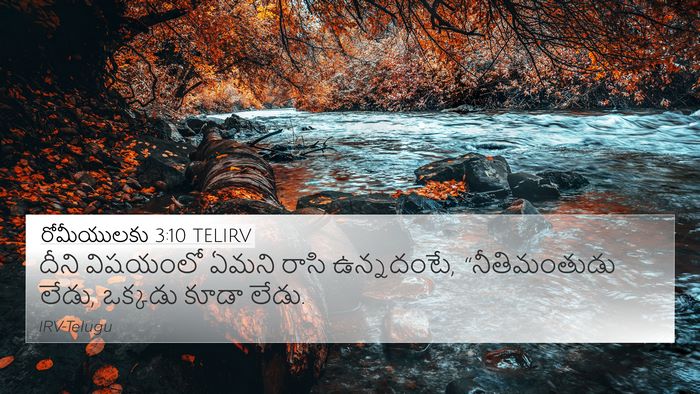 రోమీయులకు 3:10 TELIRV Bible Verse Image