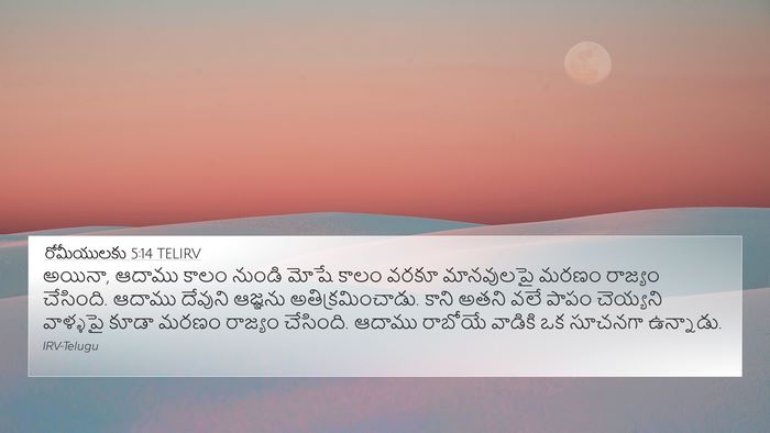 రోమీయులకు 5:14 TELIRV Bible Verse Image