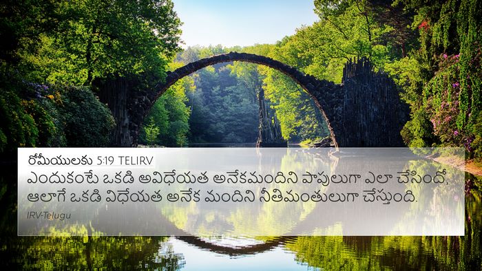 రోమీయులకు 5:19 TELIRV Bible Verse Image
