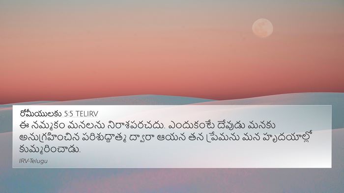 రోమీయులకు 5:5 TELIRV Bible Verse Image