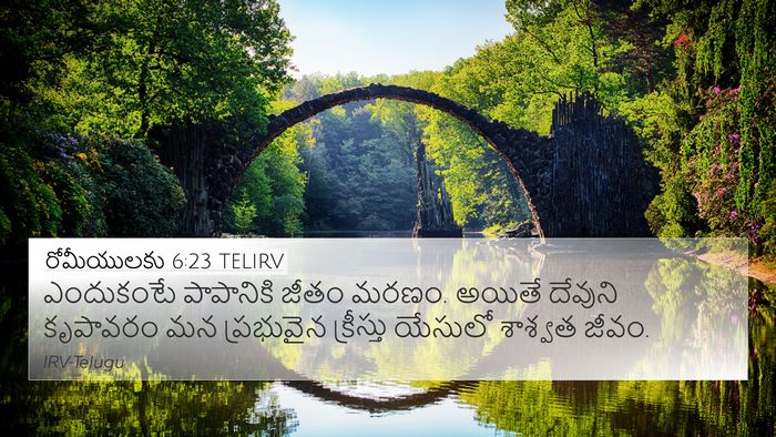 రోమీయులకు 6:23 TELIRV Bible Verse Image