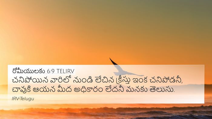 రోమీయులకు 6:9 TELIRV Bible Verse Image