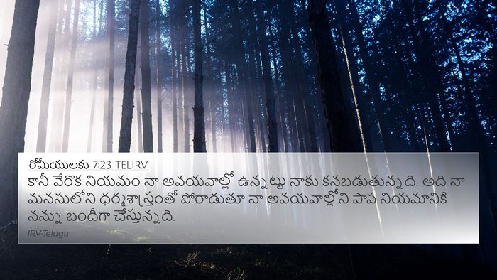 రోమీయులకు 7:23 TELIRV Bible Verse Image
