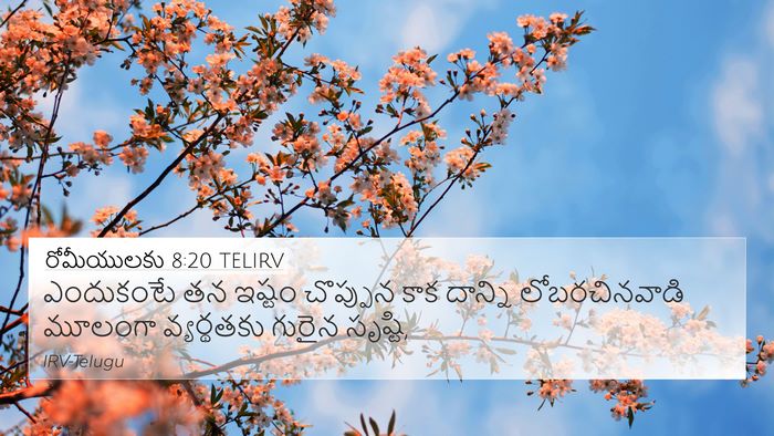 రోమీయులకు 8:20 TELIRV Bible Verse Image