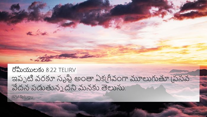 రోమీయులకు 8:22 TELIRV Bible Verse Image