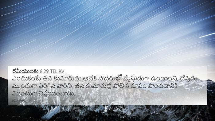 రోమీయులకు 8:29 TELIRV Bible Verse Image