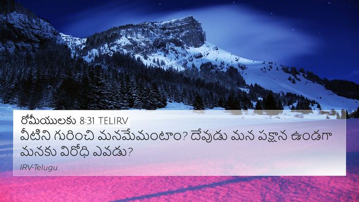 రోమీయులకు 8:31 TELIRV Bible Verse Image
