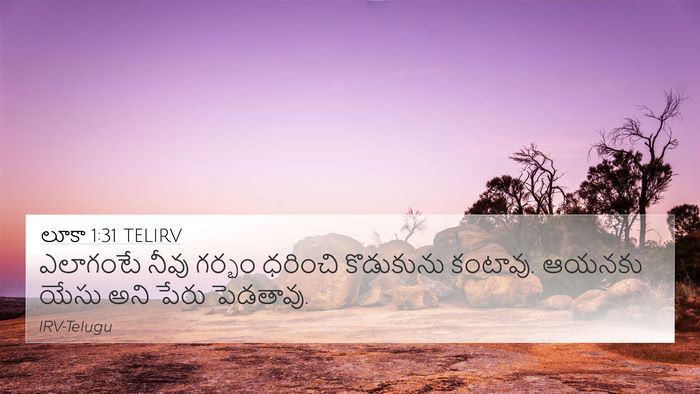 లూకా 1:31 TELIRV Bible Verse Image