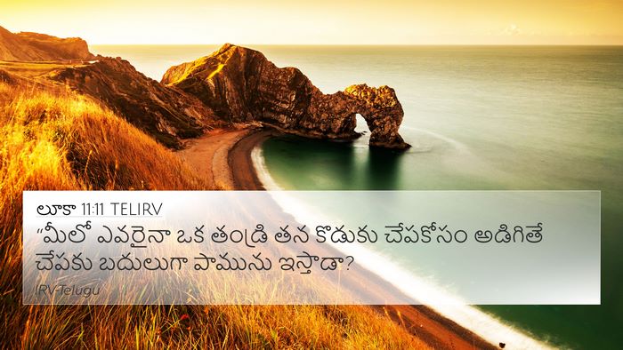 లూకా 11:11 TELIRV Bible Verse Image