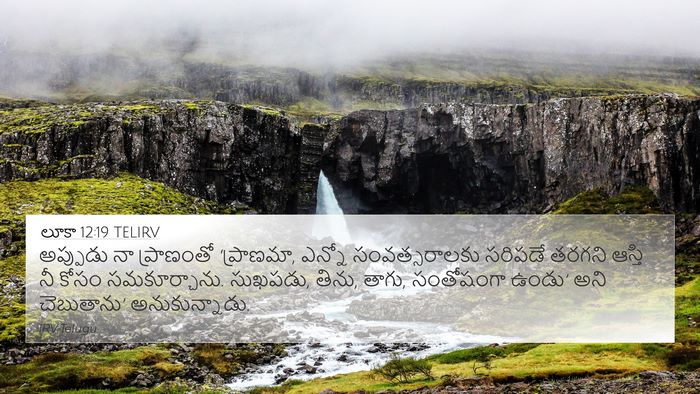 లూకా 12:19 TELIRV Bible Verse Image