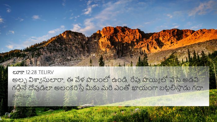లూకా 12:28 TELIRV Bible Verse Image