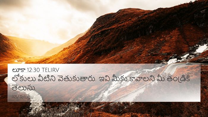 లూకా 12:30 TELIRV Bible Verse Image