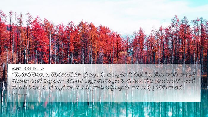 లూకా 13:34 TELIRV Bible Verse Image