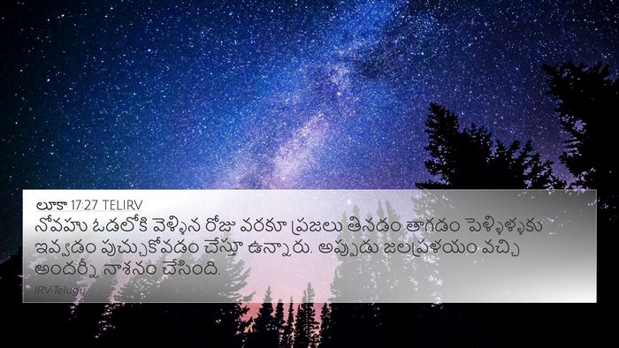 లూకా 17:27 TELIRV Bible Verse Image