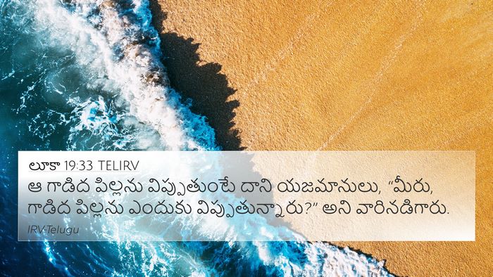 లూకా 19:33 TELIRV 4K Wallpaper - ఆ గాడిద పిల్లను - 4K Wallpaper Bible Verse