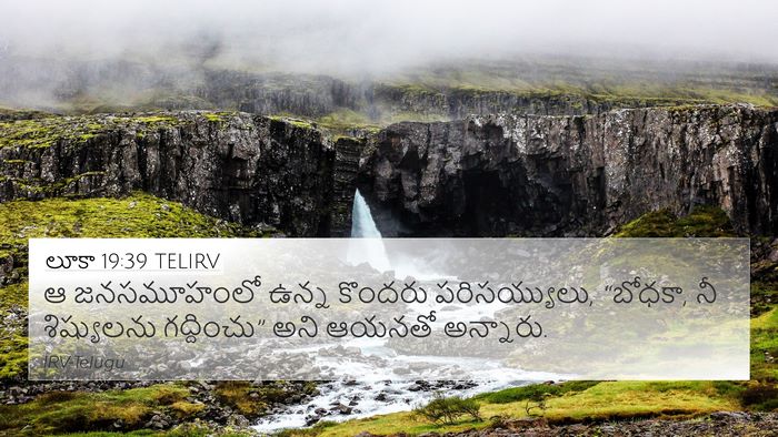 లూకా 19:39 TELIRV Bible Verse Image