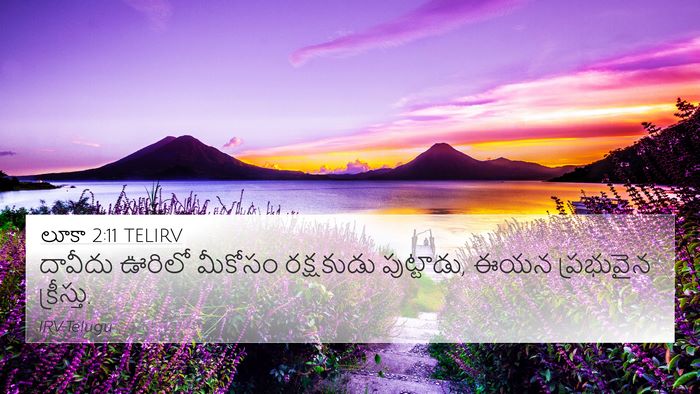 లూకా 2:11 TELIRV Bible Verse Image