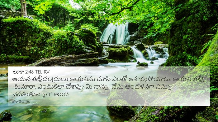 లూకా 2:48 TELIRV Bible Verse Image