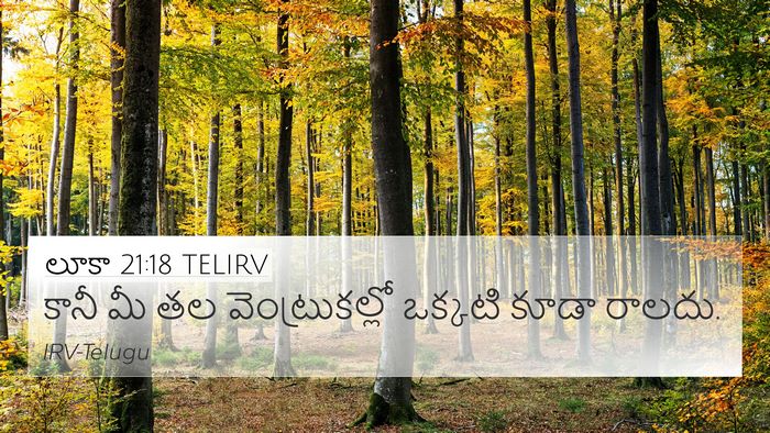 లూకా 21:18 TELIRV Bible Verse Image