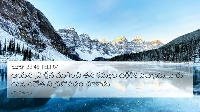 లూకా 22:45 TELIRV Bible Verse Image