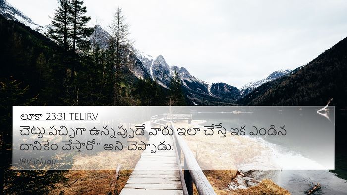 లూకా 23:31 TELIRV Bible Verse Image
