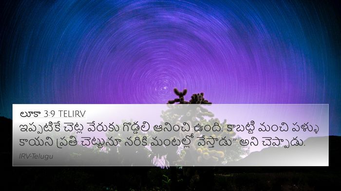 లూకా 3:9 TELIRV Bible Verse Image