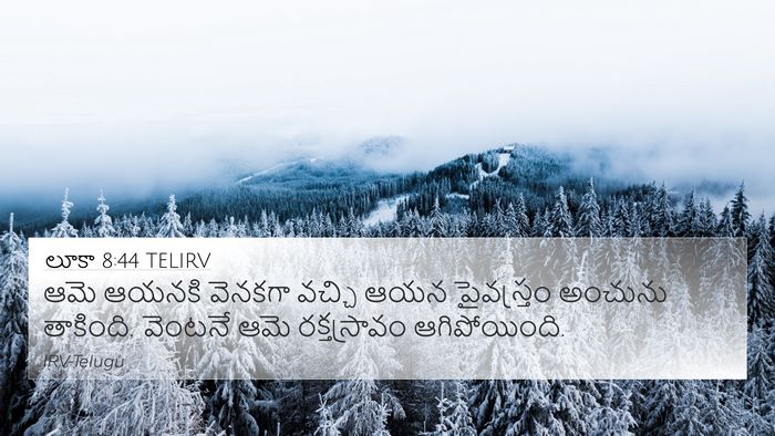లూకా 8:44 TELIRV Bible Verse Image